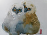 Young horned Owls