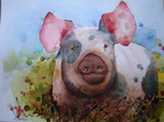 Cochon Piggy