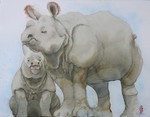 Rhinocéros et son p