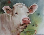 portrait d'une vache